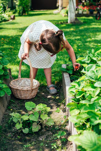 Full length of woman holding basket in back yard