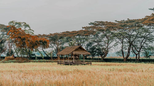 House on field by trees against sky