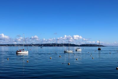 Boats in harbor