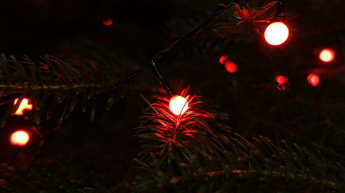 Close-up of firework display at night