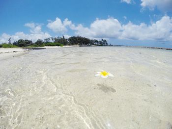 Scenic view of sea against cloudy sky