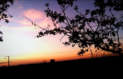 Silhouette tree against sky during sunset