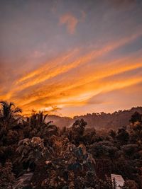 Scenic view of field against sky during sunset