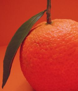 Close-up of orange fruit over red background