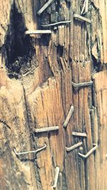 Close-up of wooden door