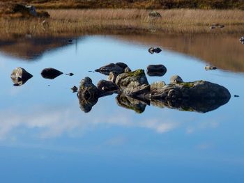 Reflection of birds in lake against sky