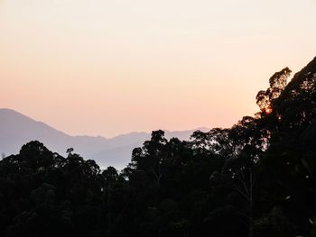 Silhouette trees against sky during sunset