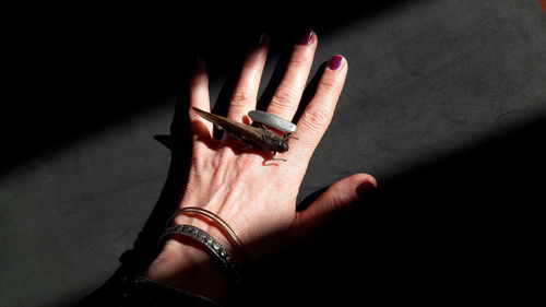 Cropped hand of woman with insect on table