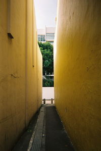 Narrow alley along buildings