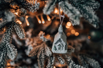 Close-up of illuminated christmas tree during winter