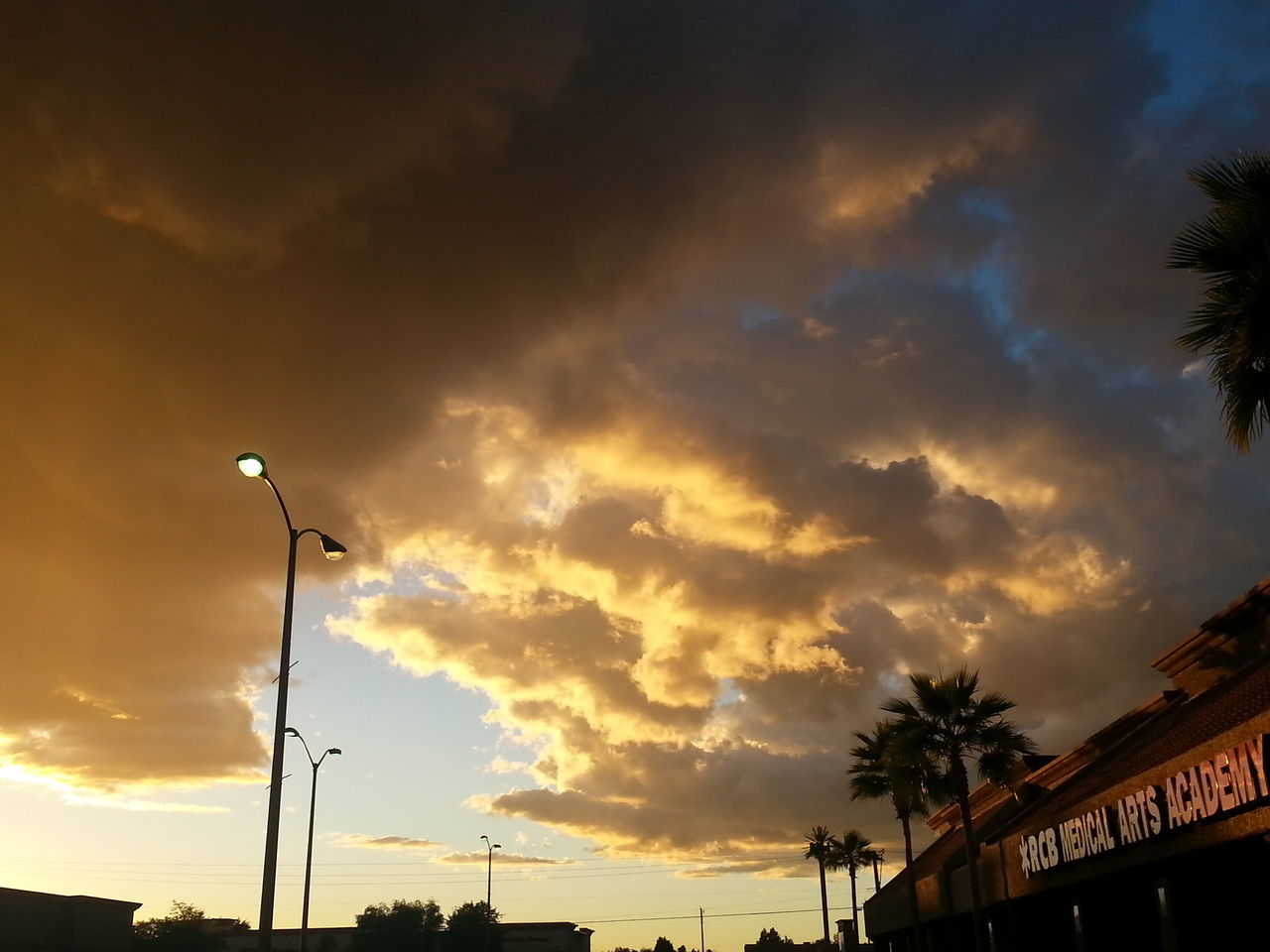 Super Carniceria Los Alamos