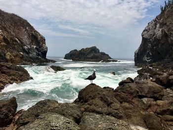 Scenic view of rocks on beach against sky