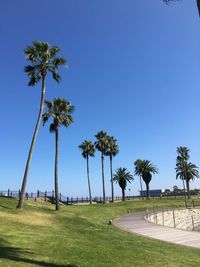 Palm trees against clear blue sky