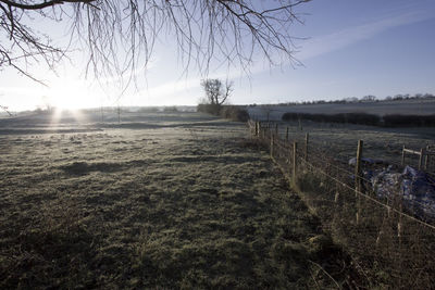 Scenic view of field against sky