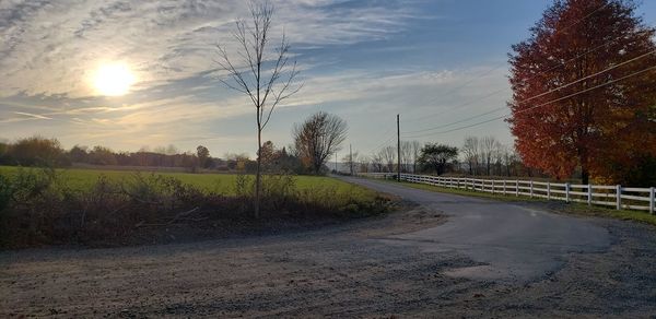 Road amidst trees on field against sky at sunset