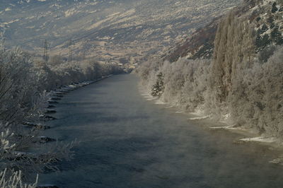 Narrow road along trees