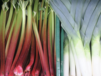 Close-up of vegetables for sale at market stall