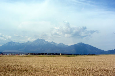 Scenic view of landscape against sky