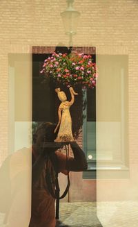 Close-up of flowers in front of window