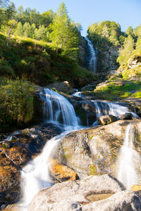 Scenic view of waterfall in forest