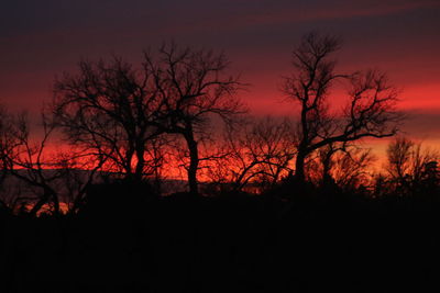 Silhouette bare trees against sky at sunset