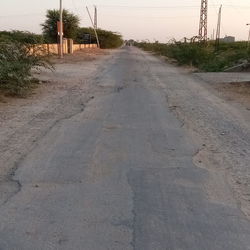 Empty road amidst trees