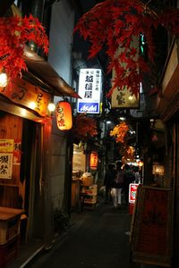 Illuminated lanterns hanging in city at night