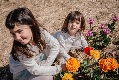 Two girls in white clothes sitting in the tulip field picking flowers