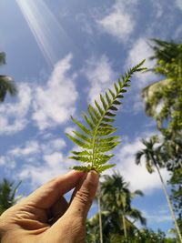 Midsection of person holding plant against sky