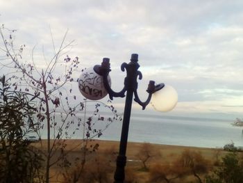 Close-up of birds by sea against sky