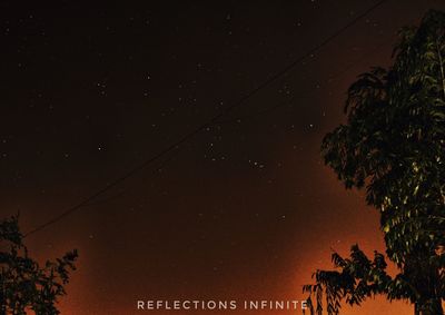 Low angle view of trees against sky at night