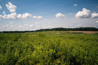 Views of the crossman clay pits and raritan river railroad in sayreville, nj