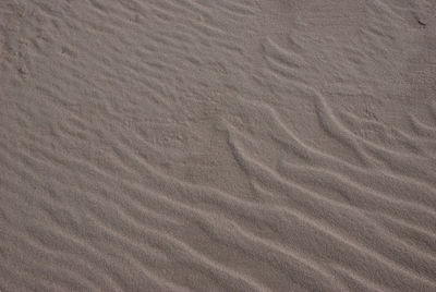 Full frame shot of sand dune