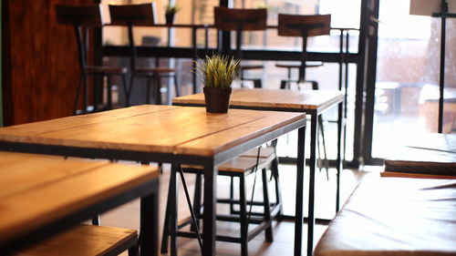 Potted plant on the wood table at september 29 2019