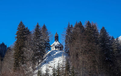 Low angle view of cross amidst trees against clear blue sky