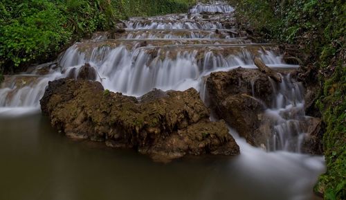 Scenic view of waterfall in forest