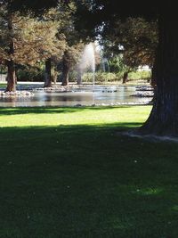 Empty park bench in park