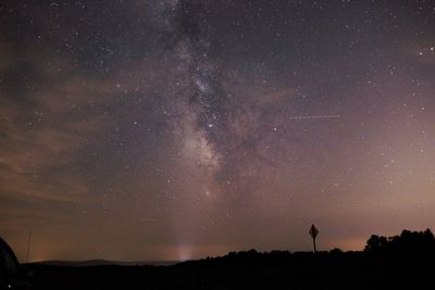 Low angle view of silhouette trees against sky at night