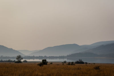 Scenic view of field against sky during foggy weather