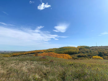 Scenic view of land against sky