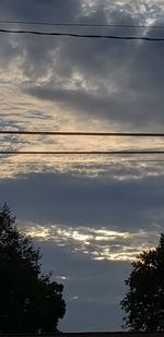 Low angle view of silhouette trees against sky