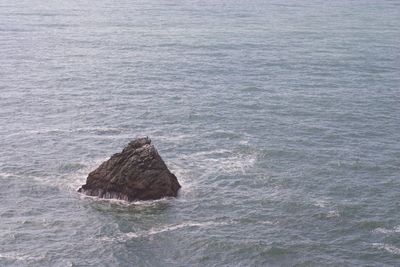 High angle view of rock in sea