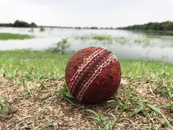 Close-up of ball on field