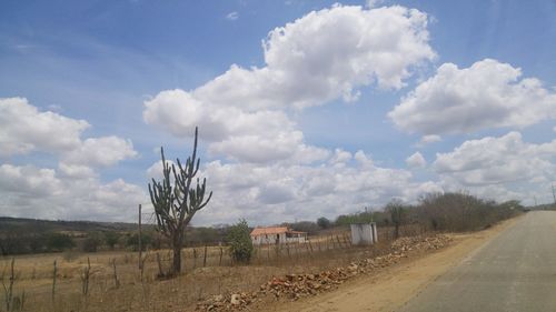 Panoramic view of trees against sky