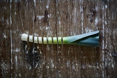 High angle view of food on table