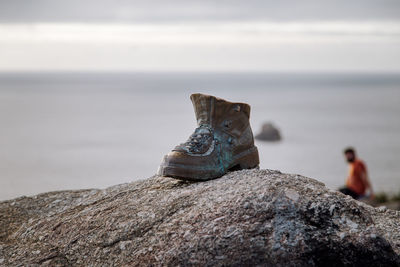 Close-up of lizard on rock by sea against sky