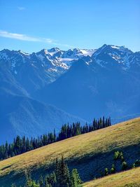 Scenic view of snowcapped mountains against blue sky from hurricane ridge