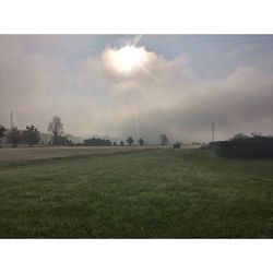 Scenic view of grassy field against sky
