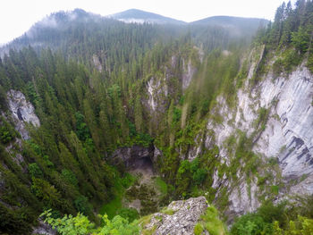 High angle view of waterfall amidst trees in forest