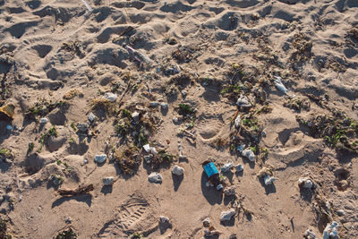 High angle view of garbage on sand at beach